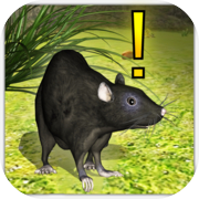 Play Home Rat simulator