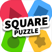 Square Puzzle : Symmetry