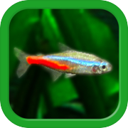 Play Tropical Aquarium - Mini Aqua