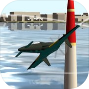 Canard Plane Race