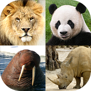 Play Animals Quiz Learn All Mammals