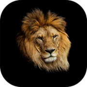 Wild Kingdom: Lion vs Tiger