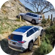 Fortuner Car Driving School