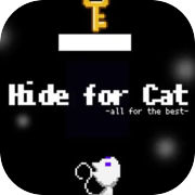 Play Hide for Cat - all for the best -