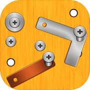 Screw Nuts and Bolts Puzzle