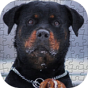 Rottweiler Puzzles