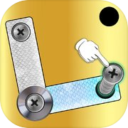 Screw Puzzle Bolts and Nuts