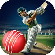 Cricket Play Time: Game 2024