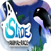 Play Slide - Animal Race