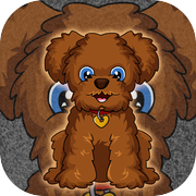 Play Toy Poodle Dog Escape