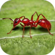 Earth Ants Calony