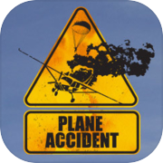 Plane Accident