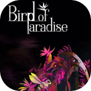 Bird of Paradise