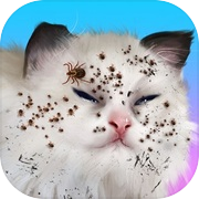 Play Cat Makeover