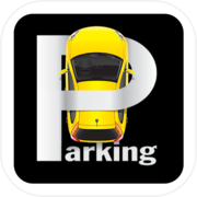 Car Parking Police