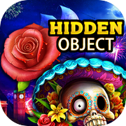 Play Hidden objects Maximus