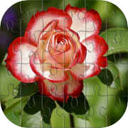 Flower Puzzle STF