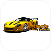 Ultimate Car Racing Simulation