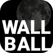 Wall Ball