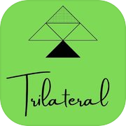 Trilateral Puzzler
