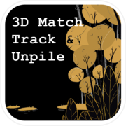 3D Match Track & Unpile