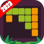 Play Wood Puzzle Block Premium