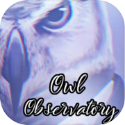 Play Owl Observatory