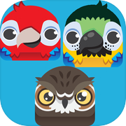 Play Blooket Game Play - Birds Game