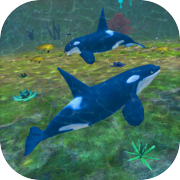 Orca Simulator Killer Whale