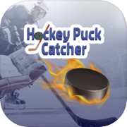 Hockey Puck Catcher