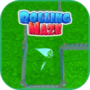 rolling maze