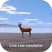Live Cam Simulator