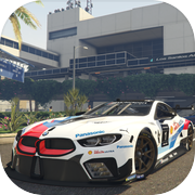 Real Race M8 GT BMW Simulator