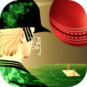 Play Cricket Fly x Gamifly