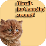 Marsik: Just hanging around