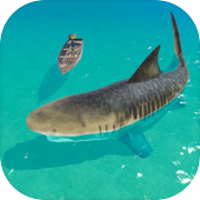 Play Attack Shark 3D
