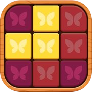 Match Block Puzzle Game